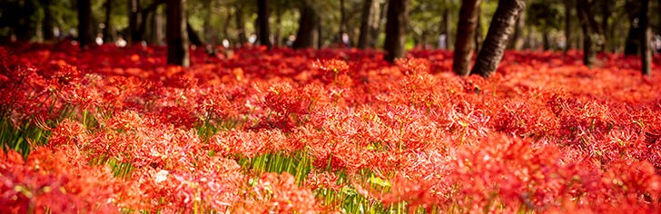 標準的なWebサイトに必要な基本機能を全て装備